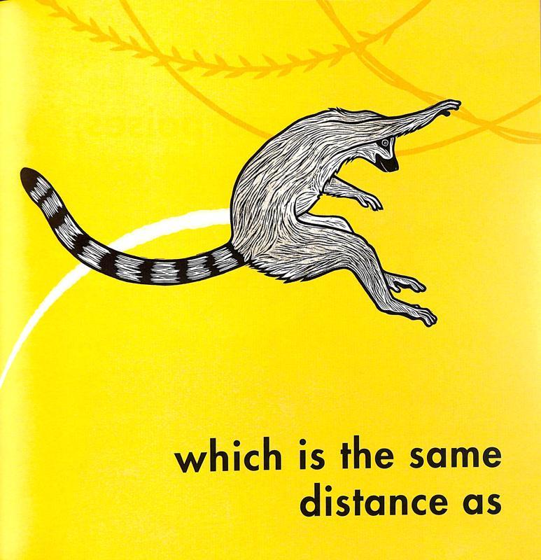 How Far Can A Kangaroo Jump?