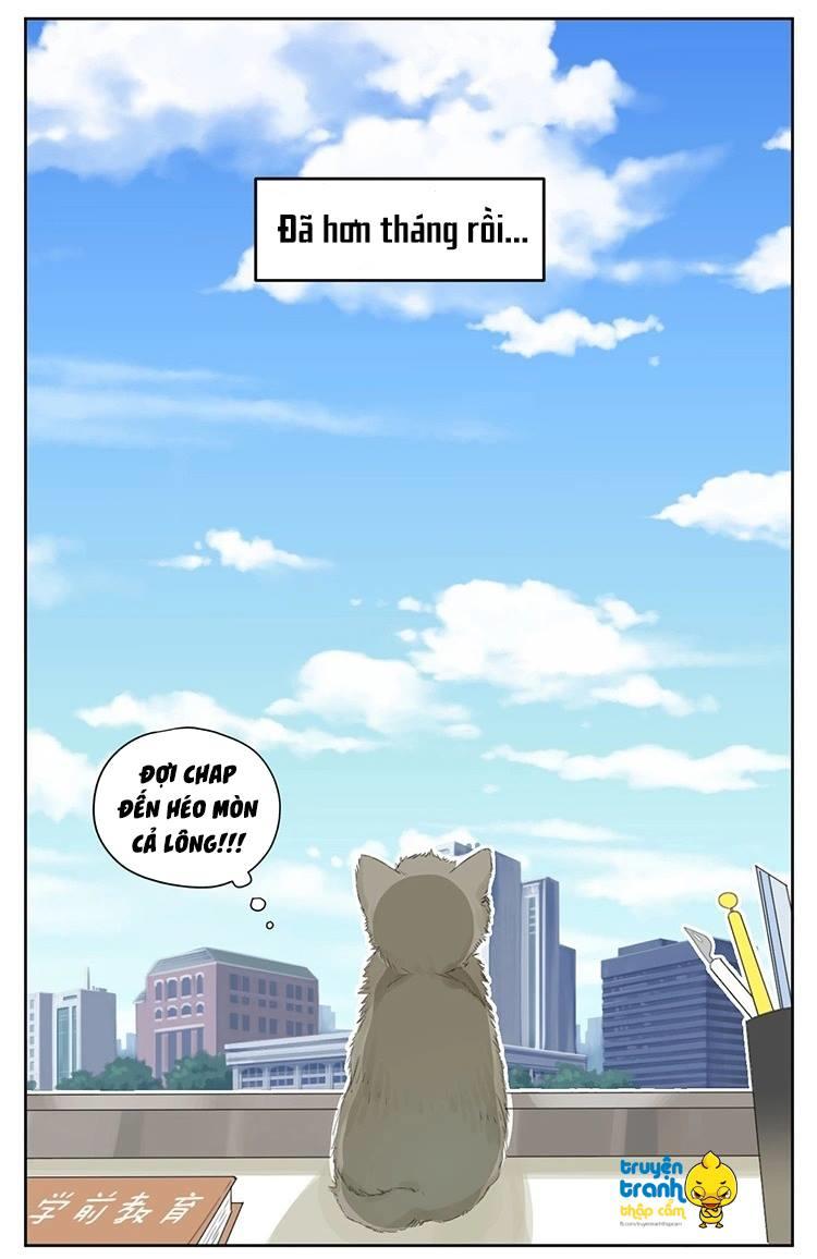 cứu mạng ! loài mèo thống trị thế giới rồi ! chapter 24 20