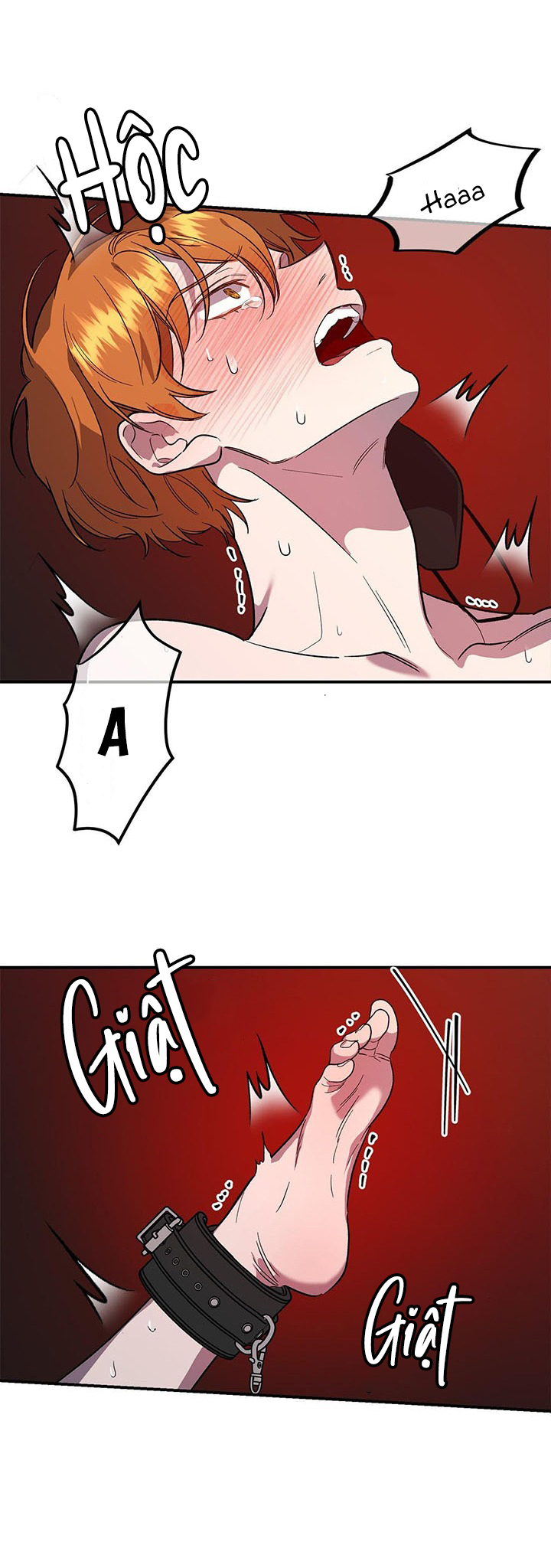 lãnh địa của dã thú chapter 8 24