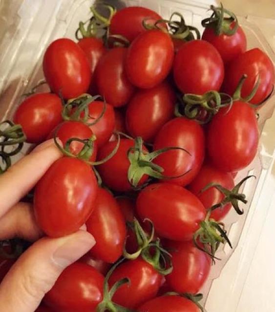 Hạt Giống Cà Chua Bi Đỏ - 50 hạt