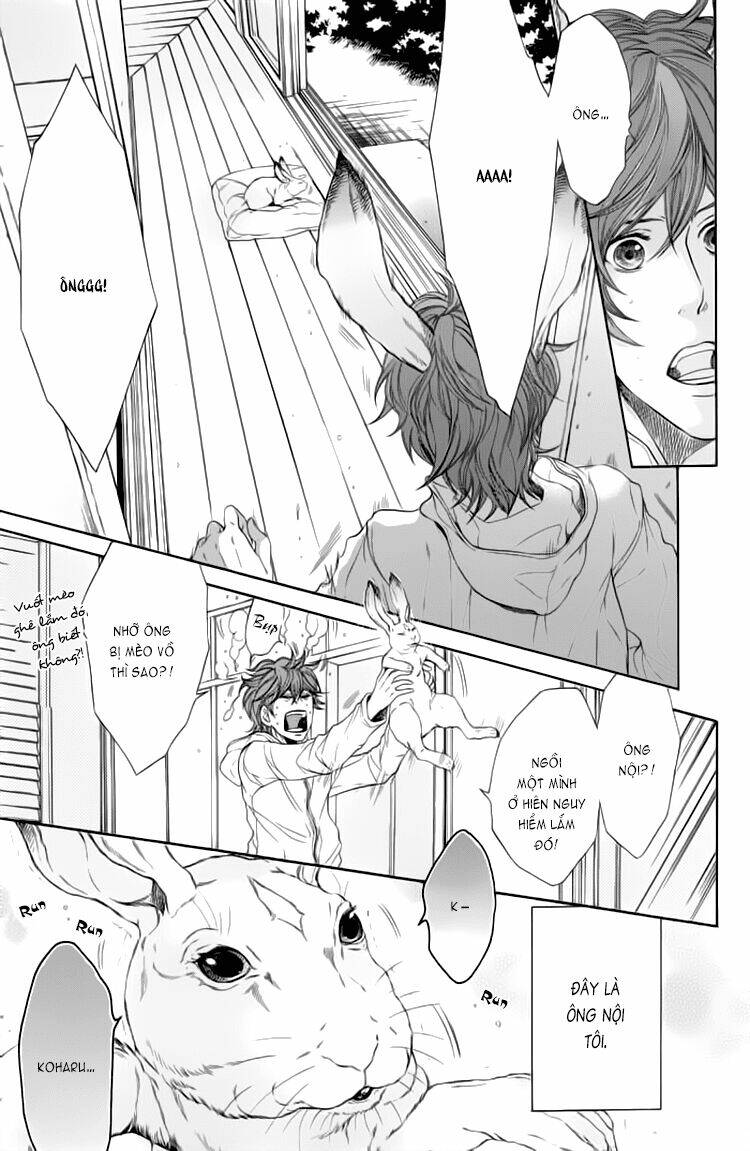 oinarisama no honey bunny chapter 1 17