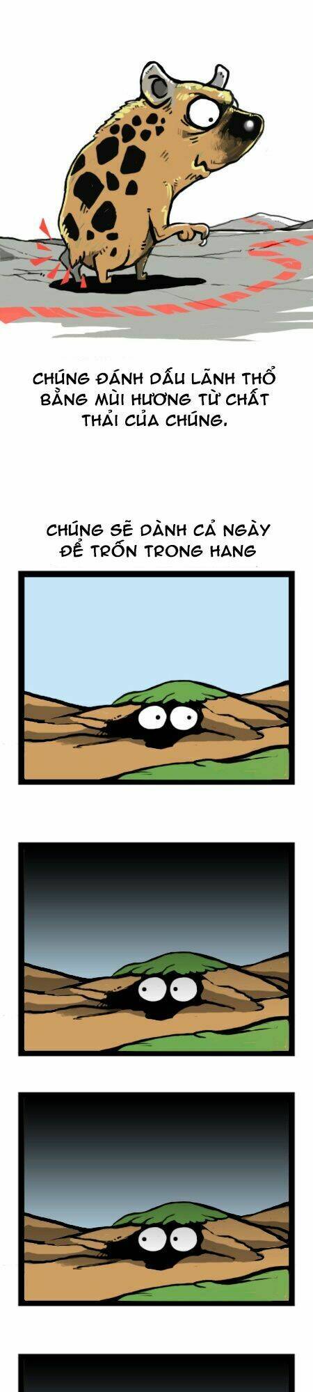 earth, human, and animal chapter 16 5