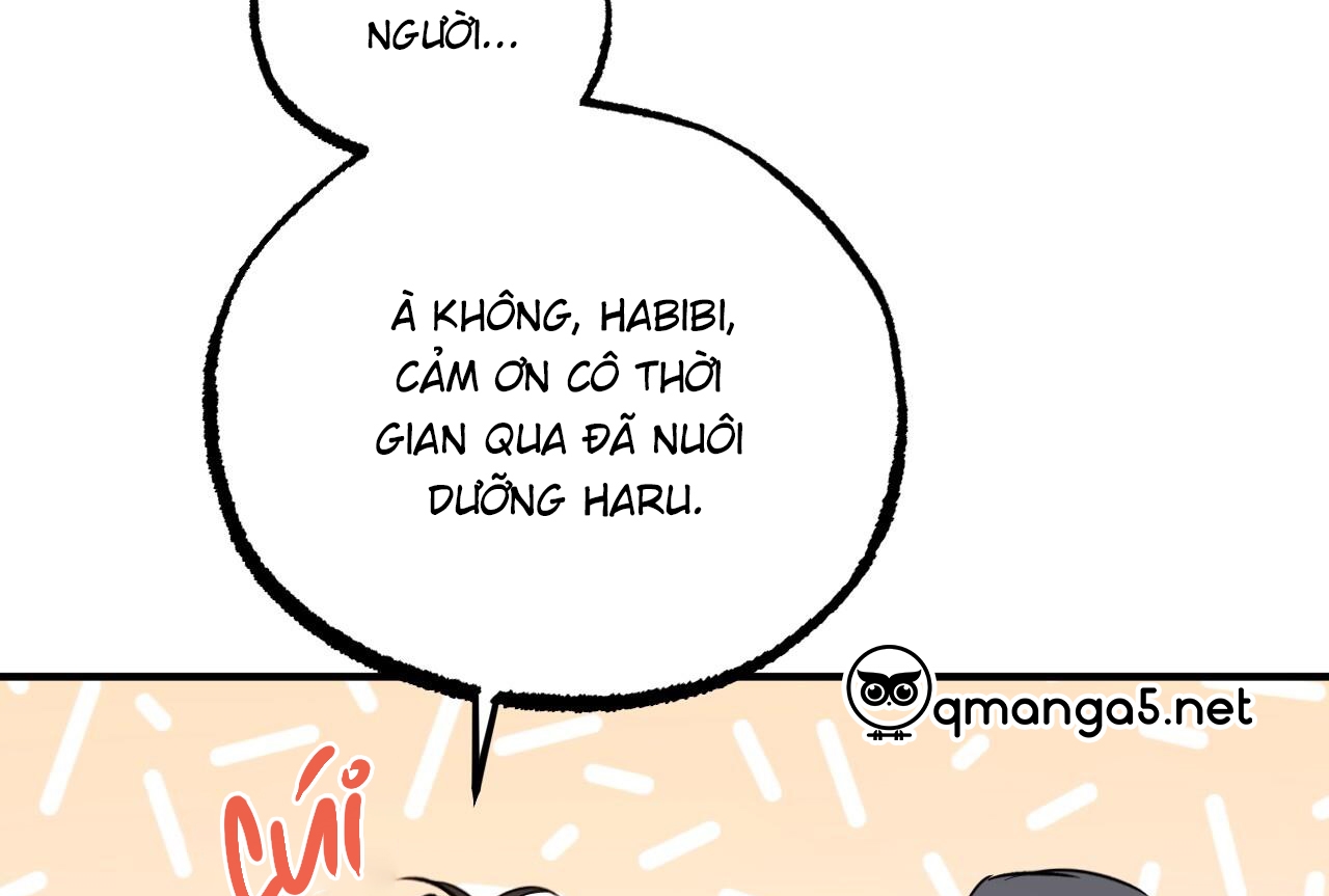 đàn thỏ của habibi chapter 65 143