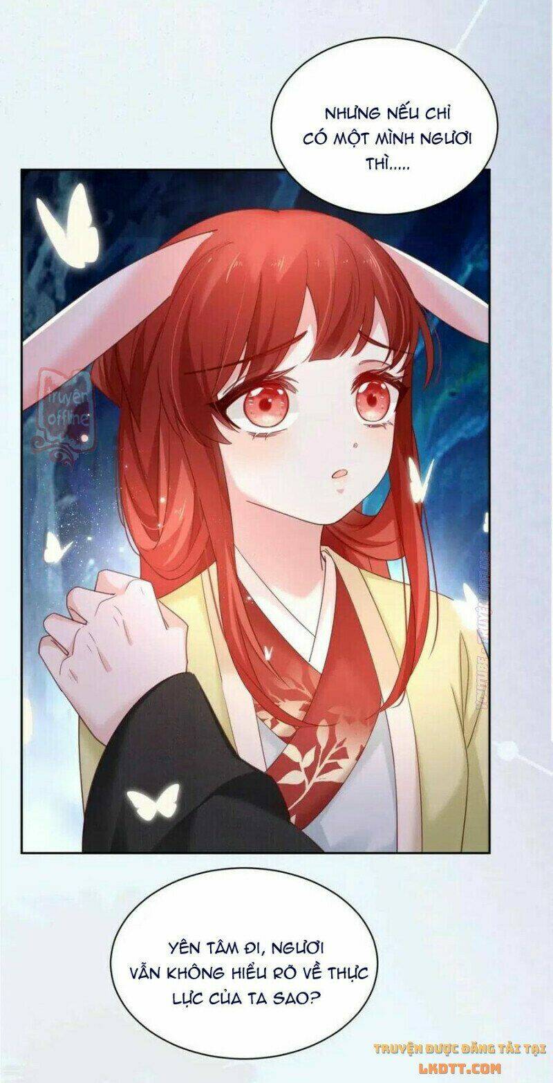 hắc hóa nam chính trực tuyến nuôi thỏ chapter 52 20