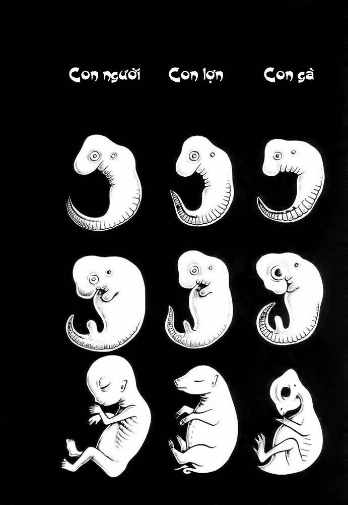 lullabies from hell chapter 2 15