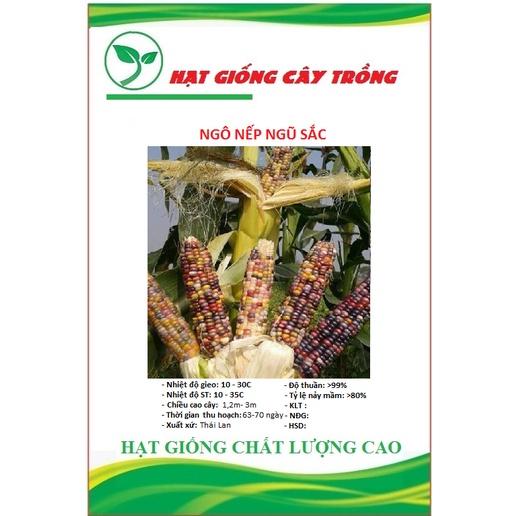 Hạt giống ngô nhiều màu CT217- Gói 30 hạt