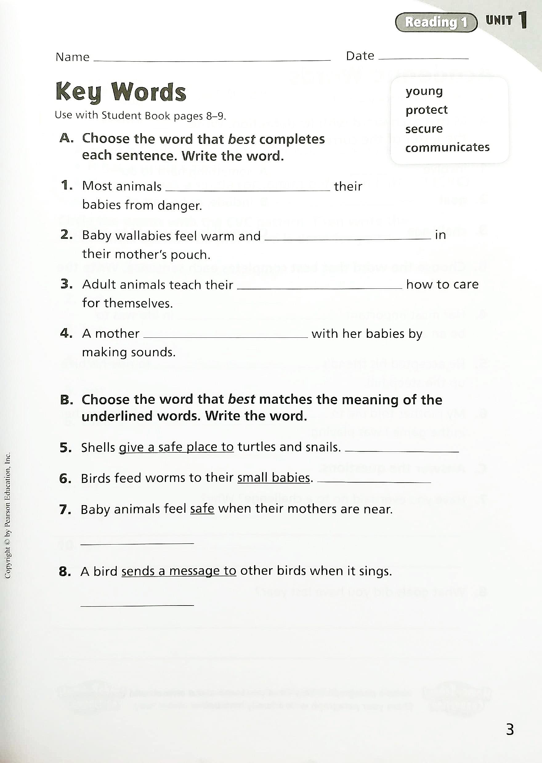 Sách ngoại văn: Cornerstone 2013 Workbook Book Grade 4