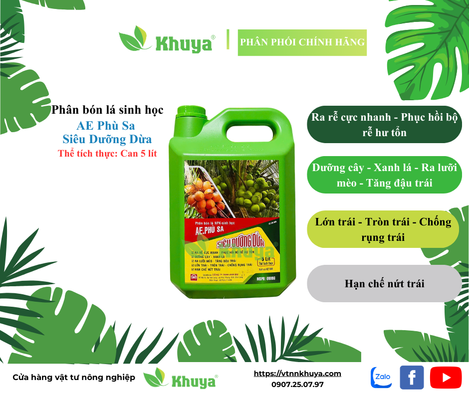 Phân bón lá NPK sinh học AE Siêu Dưỡng Dừa 5 lít Ra Rễ - Dưỡng Cây - Xanh Lá - Lớn Trái