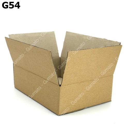 Hộp giấy P66 size 25x17x7 cm, thùng carton gói hàng Everest