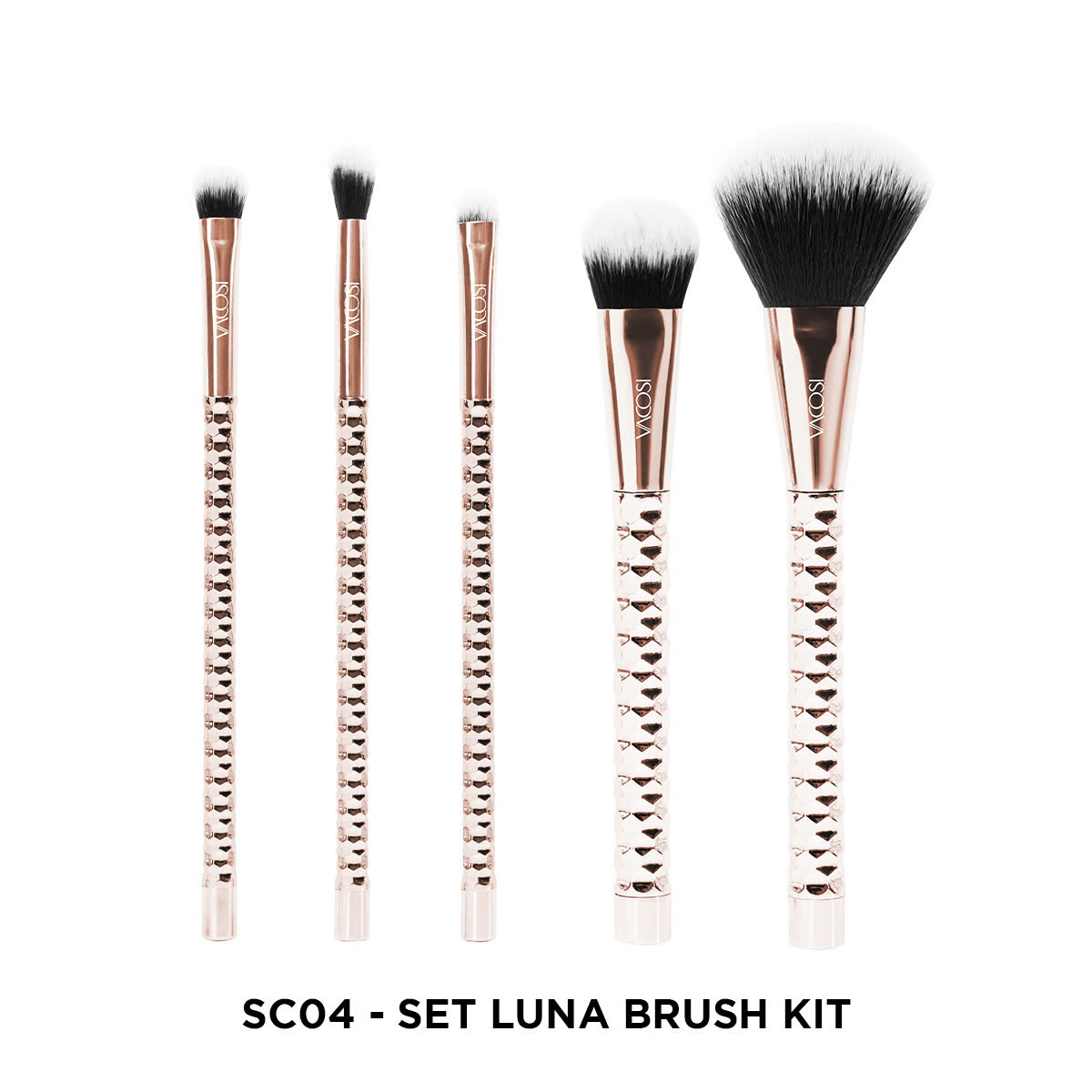 SC04 - BỘ KIT 5 CỌ CƠ BẢN VACOSI, PHIÊN BẢN GOLDEN DRAGON - LUNA THE FACE &amp; EYES BRUSH KIT, 5PCS
