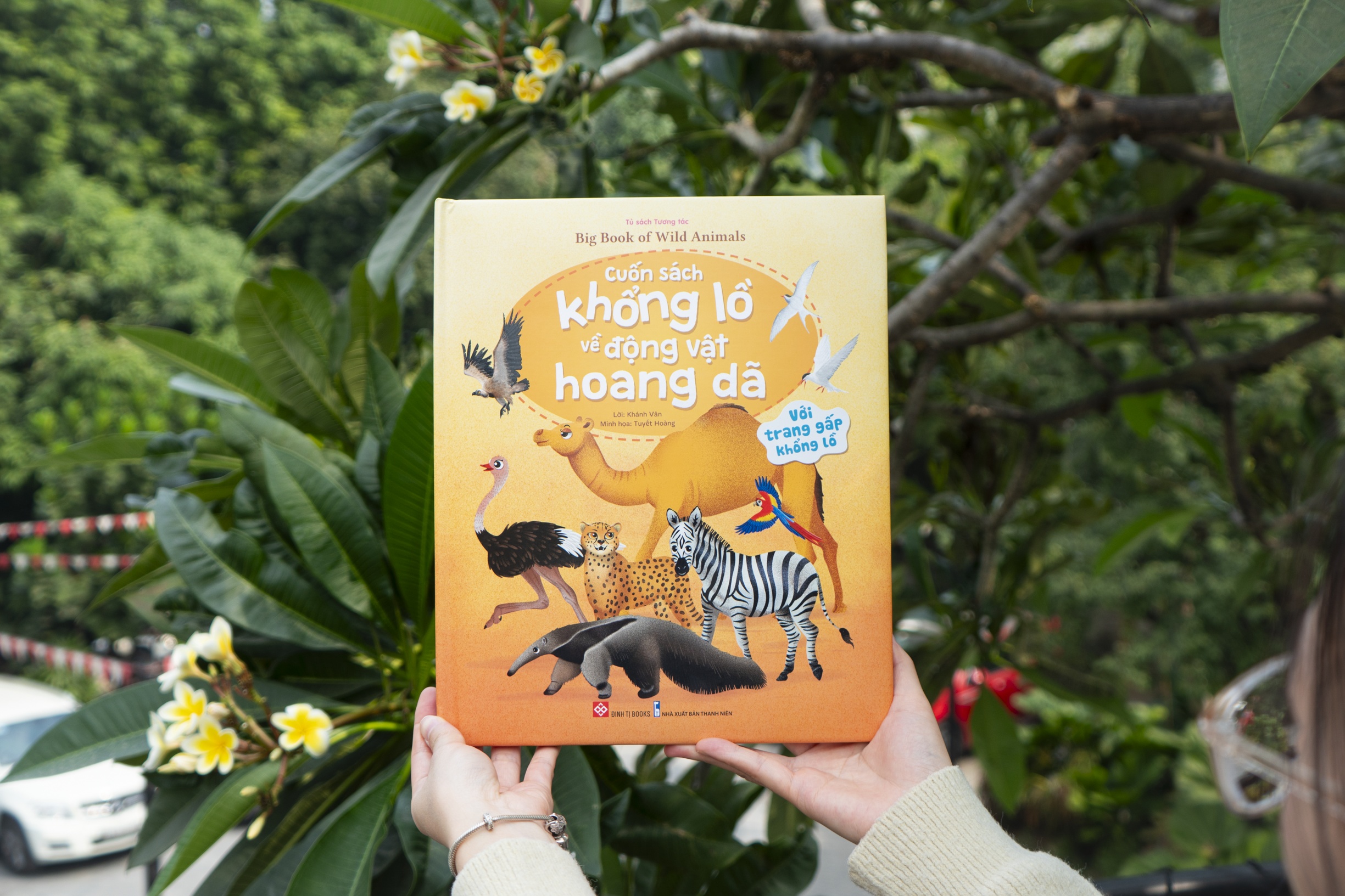 Cuốn sách khổng lồ về động vật hoang dã - Big book of wild animals - Đinh Tị Books