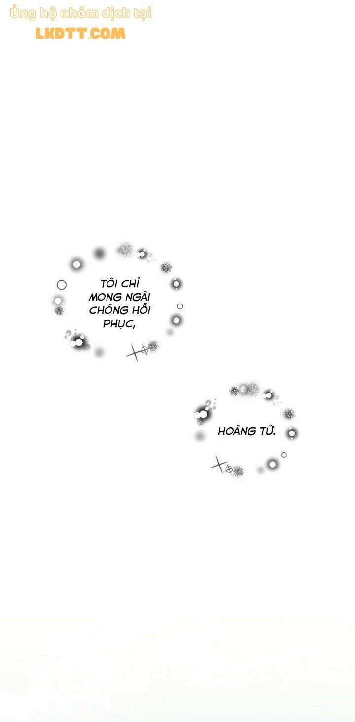 nữ hoàng ngoại khoa chapter 82 24