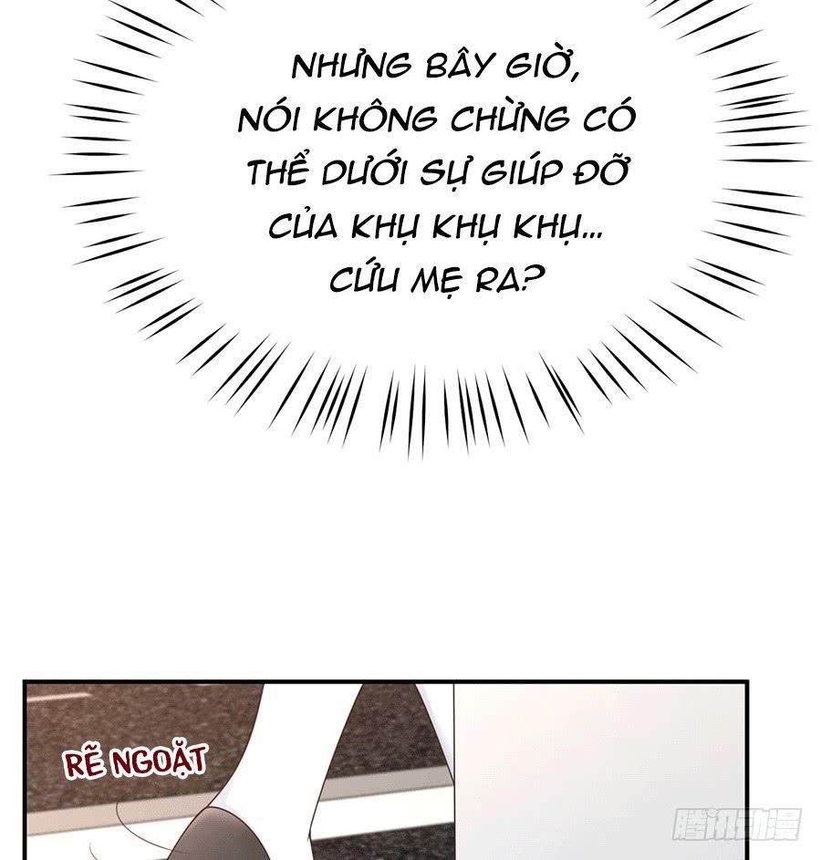 nam thần truy thê chỉ nam chapter 32.1 11