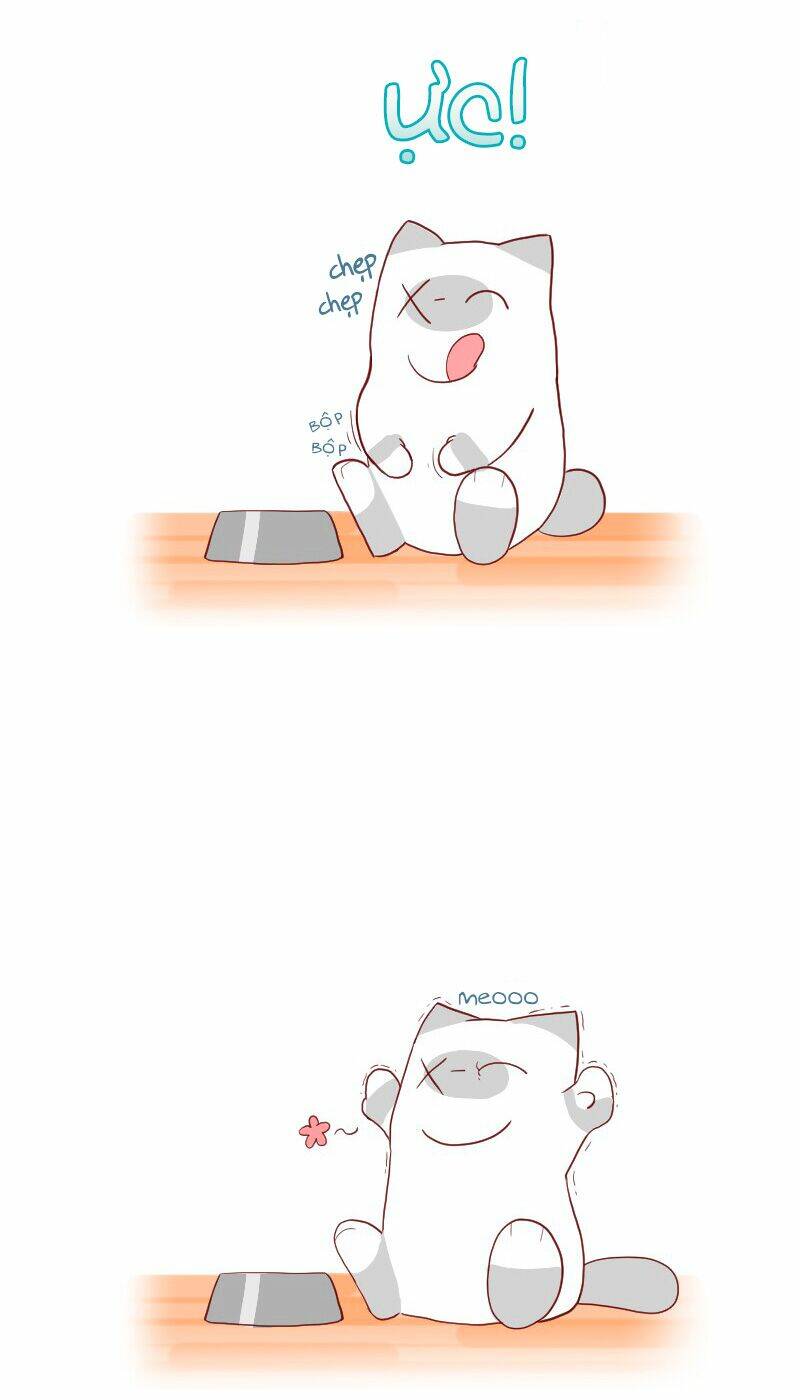 saphie: chú mèo một mắt chapter 4 2