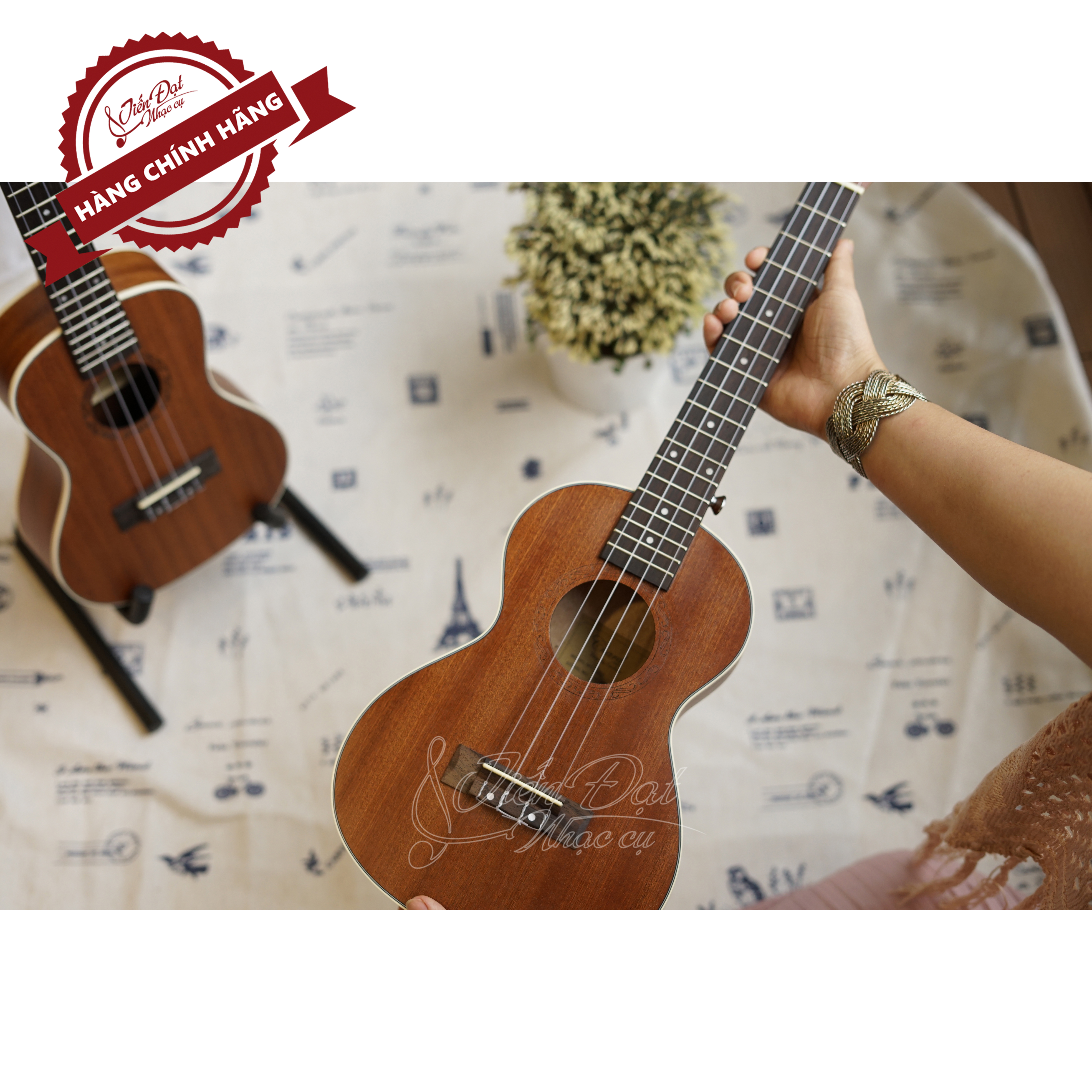 Hình ảnh Đàn Ukulele Concert Chard U-24A, Mặt Đàn Gỗ Gụ - Hàng Chính Hãng