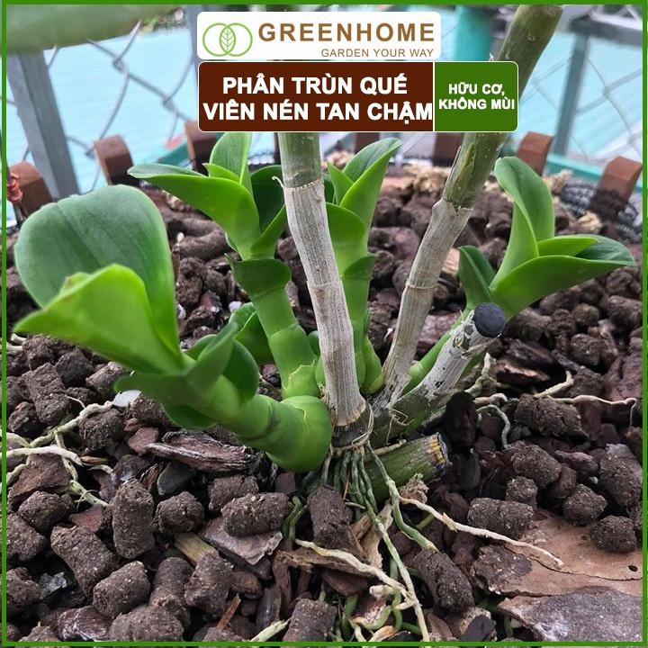 Phân Trùn Quế Viên Nén Sfarm 1kg- Phân trùn quế bón Lan, Hoa, Cây cảnh, Bonsai nguyên chất 100%