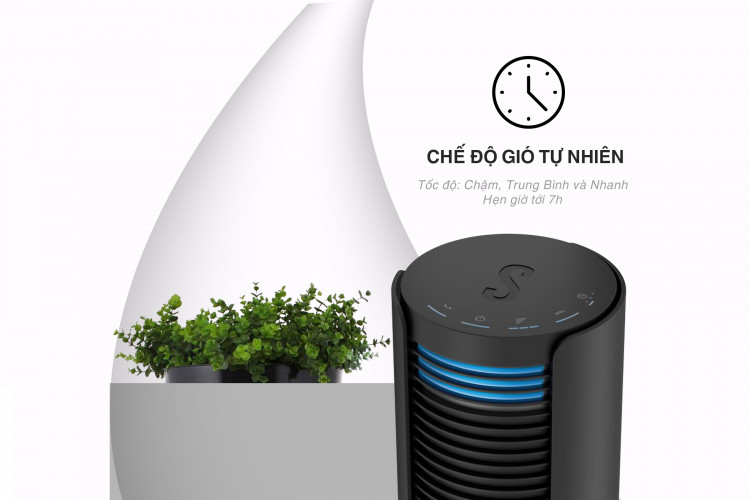 Chế độ gió tự nhiên mô tả chính xác gió ngoài trời