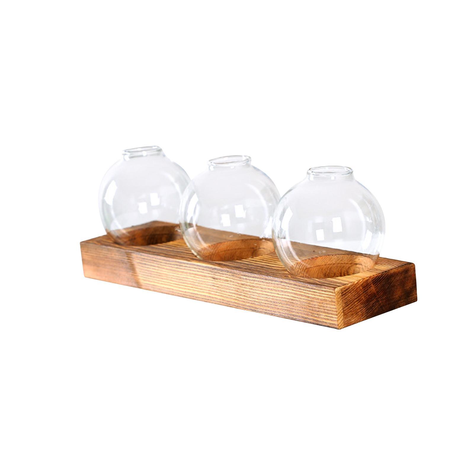 Glass Vase Transparent Bottle Propagation Terrarium for Home Cabinet Decor