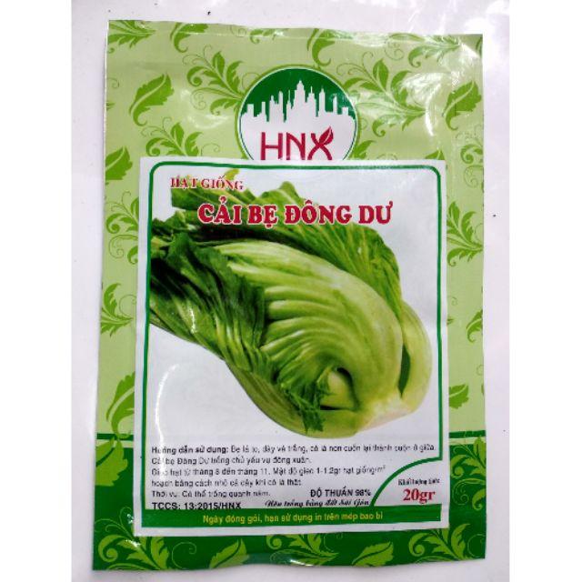 Hạt giống cải bẹ đông dư