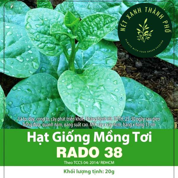 Hạt Giống Rau Mồng Tơi, dễ trồng, năng suất cao