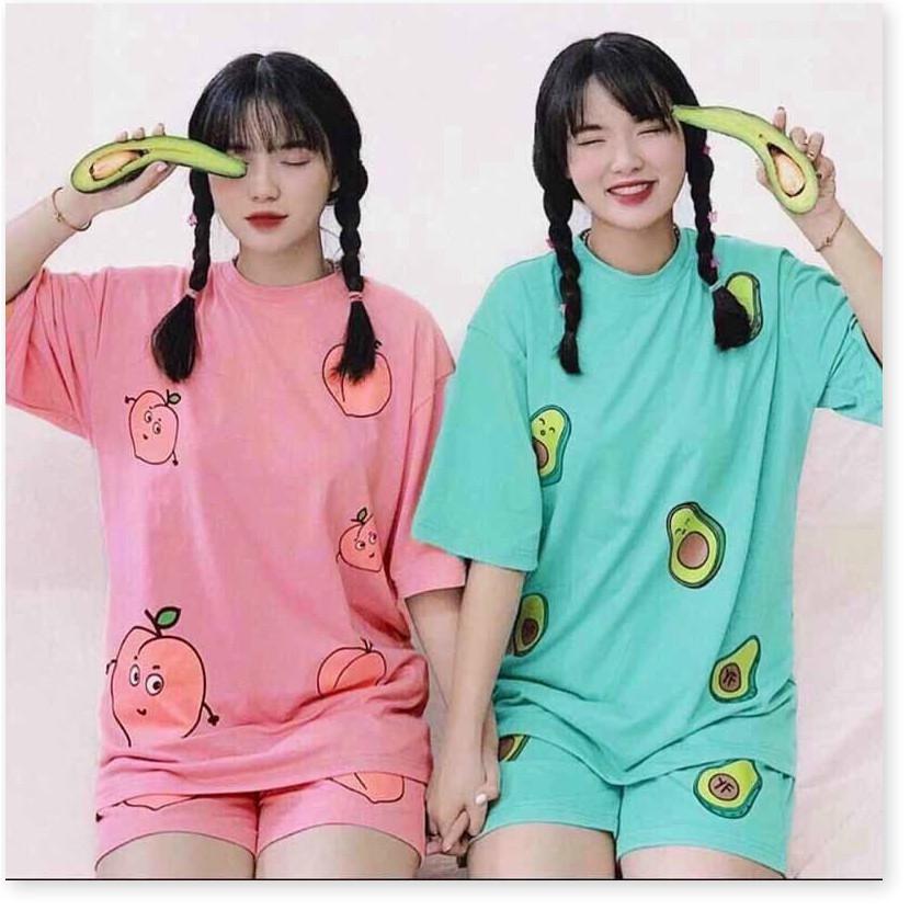 SET BỘ TRÁI BƠ CUTE