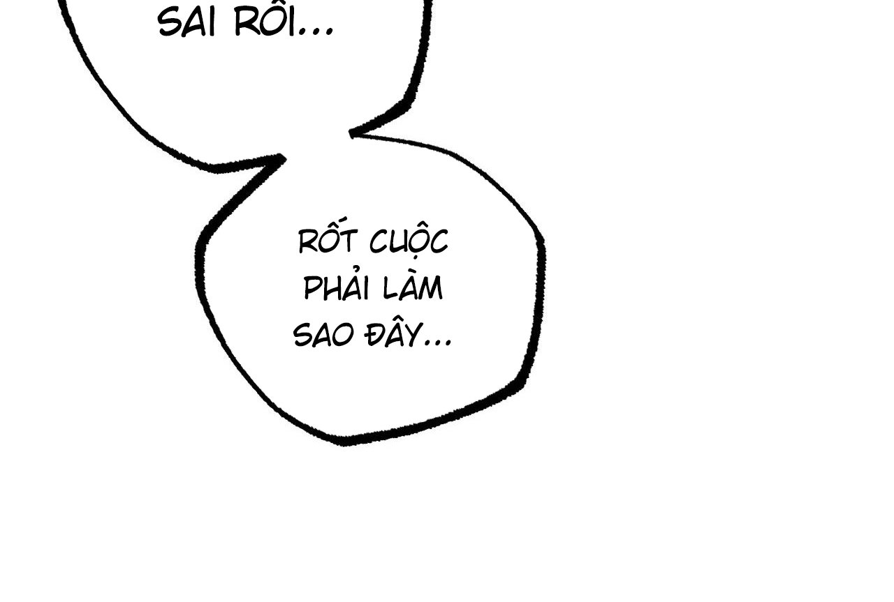 những chú thỏ của hapypy chapter 58 263