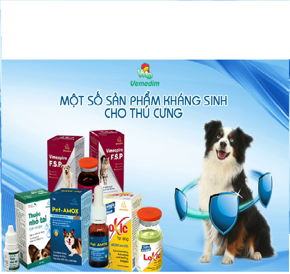 AMOXI 20% LA Thuốc tiêm đặc trị viêm phổi, viêm vú, viêm tử cung, tiết niệu, tác động kéo dài 48h dùng cho chó, mèo, Chai 100ml, sản phẩm Vemedim