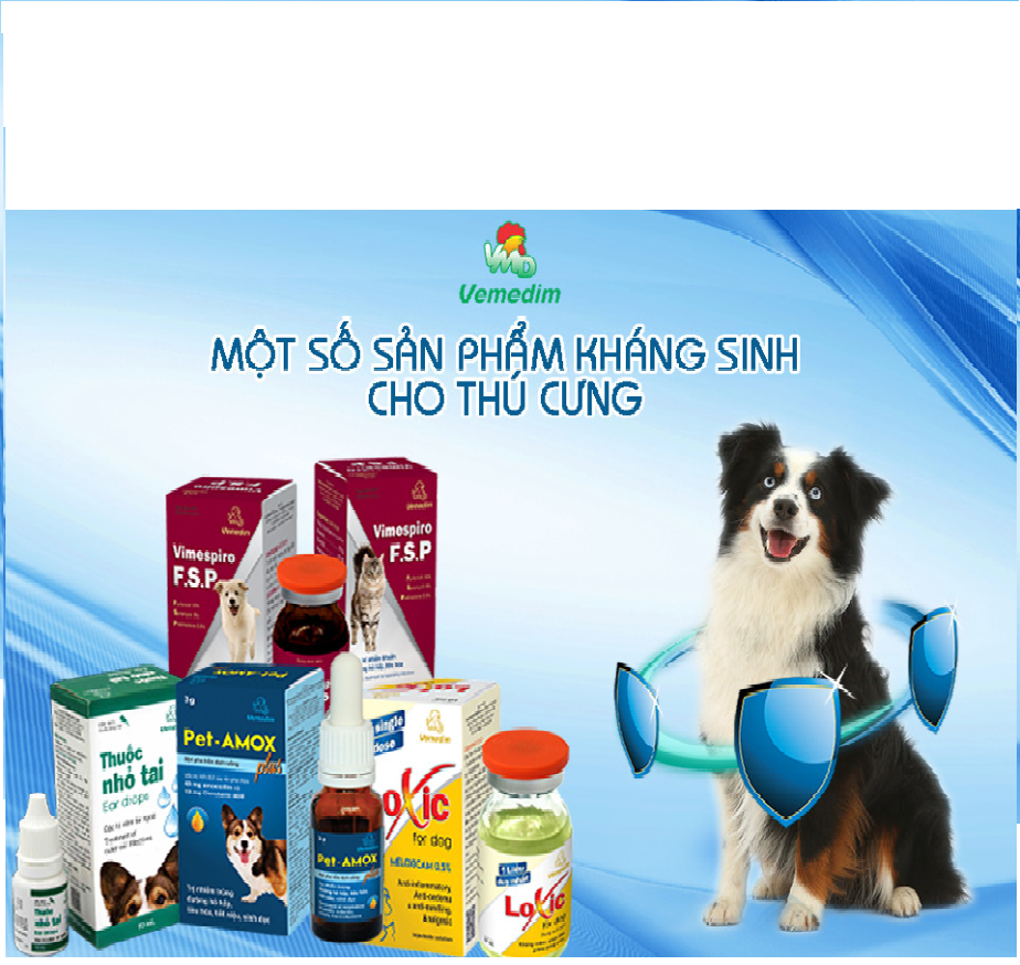 Vemedim Marbovitryl 250 pet dùng cho chó, mèo hô hấp, tiêu hóa, viêm da mủ, chai tiêm 20ml