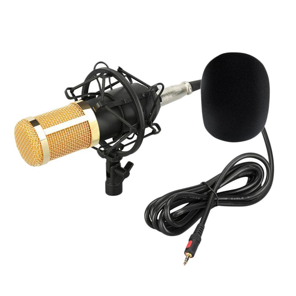 Condenser Microphone Large Diaphragm MIC for Broadcasting/Studio Recording