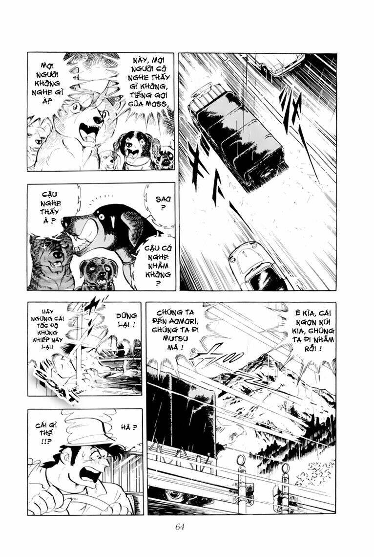 chú chó có nghĩa - ginga nagareboshi gin chapter 32.1 18