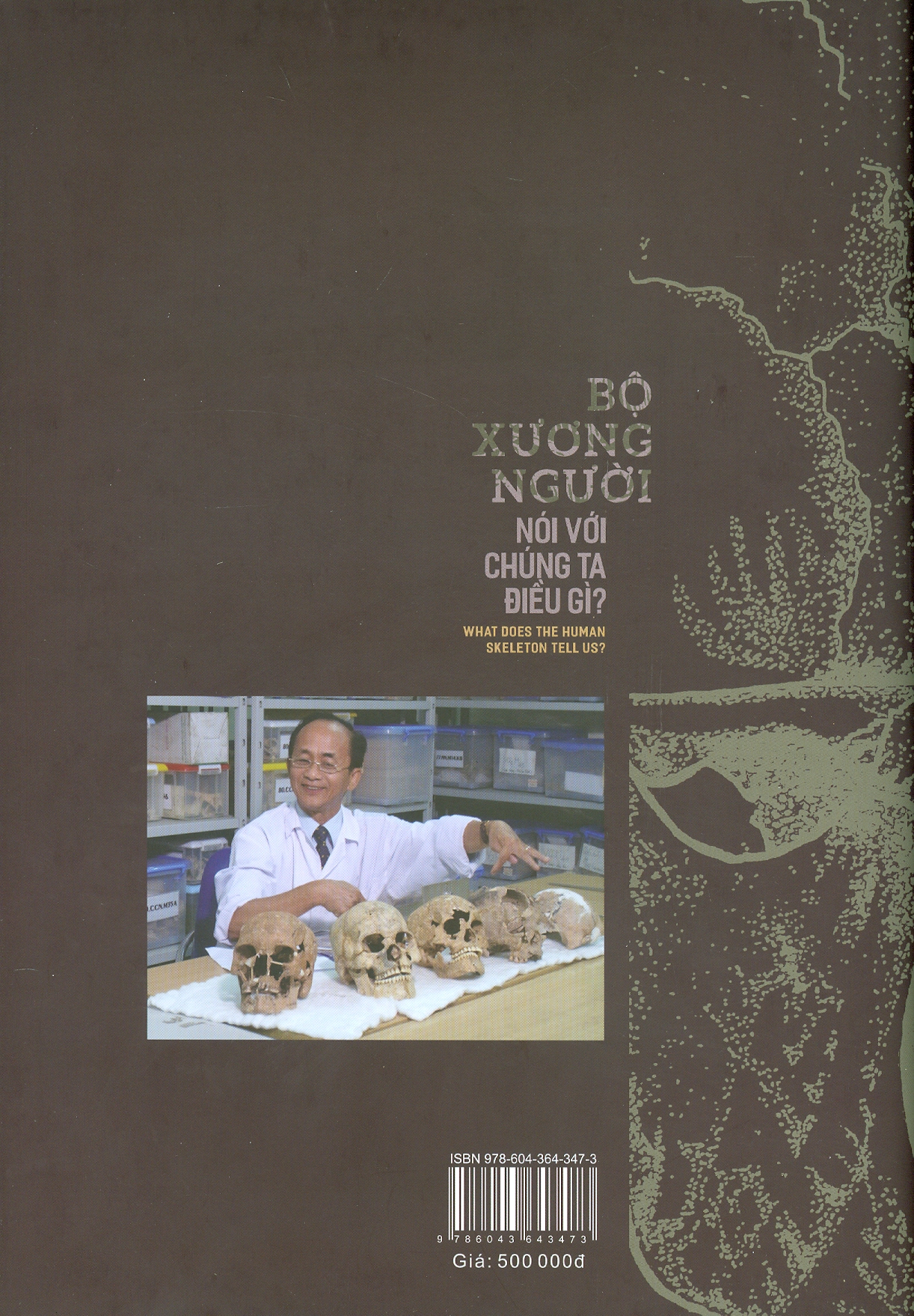 (Bìa cứng) BỘ XƯƠNG NGƯỜI NÓI VỚI CHÚNG TA ĐIỀU GÌ?– PGS.TS Nguyễn Lân Cường -Nhà Xuất Khoa Học Xã Hội