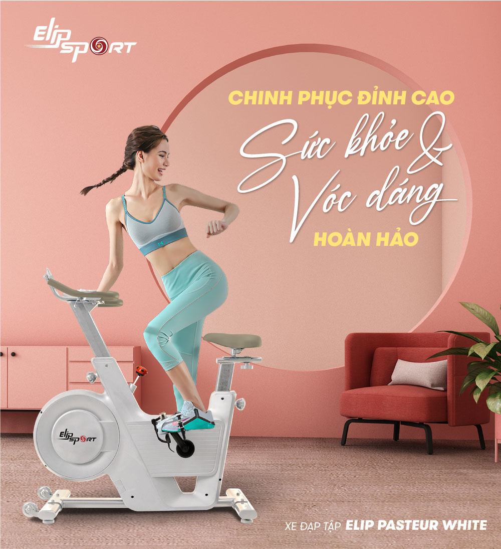 Xe Đạp Tập Thể Dục ELIP Pasteur chính hãng, kháng lực từ, truyền động dây curoa bền bỉ