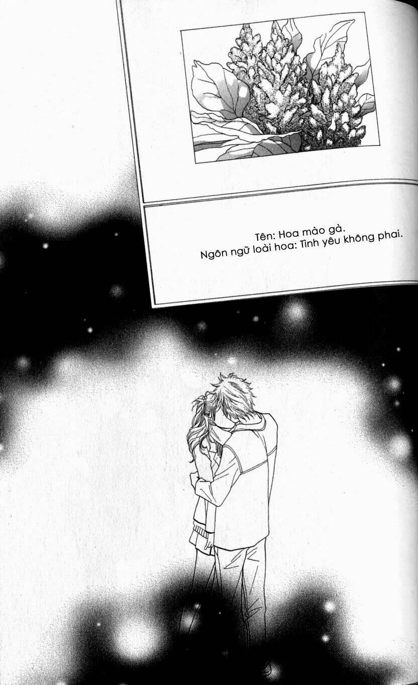 cat street chapter 19 38