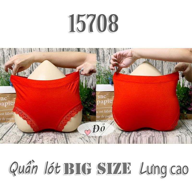 15708 Quần lót BIG SIZE lưng cao lai Ren