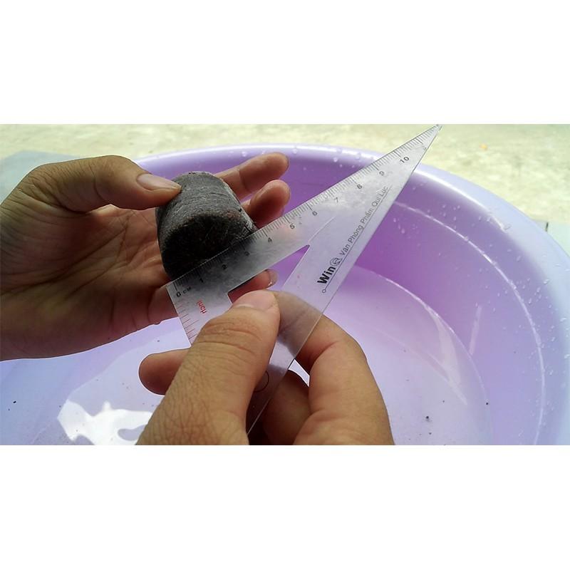 Thùng 1000 viên nén ươm hạt kích thích nảy mầm, viên to nở ra cao 6cm