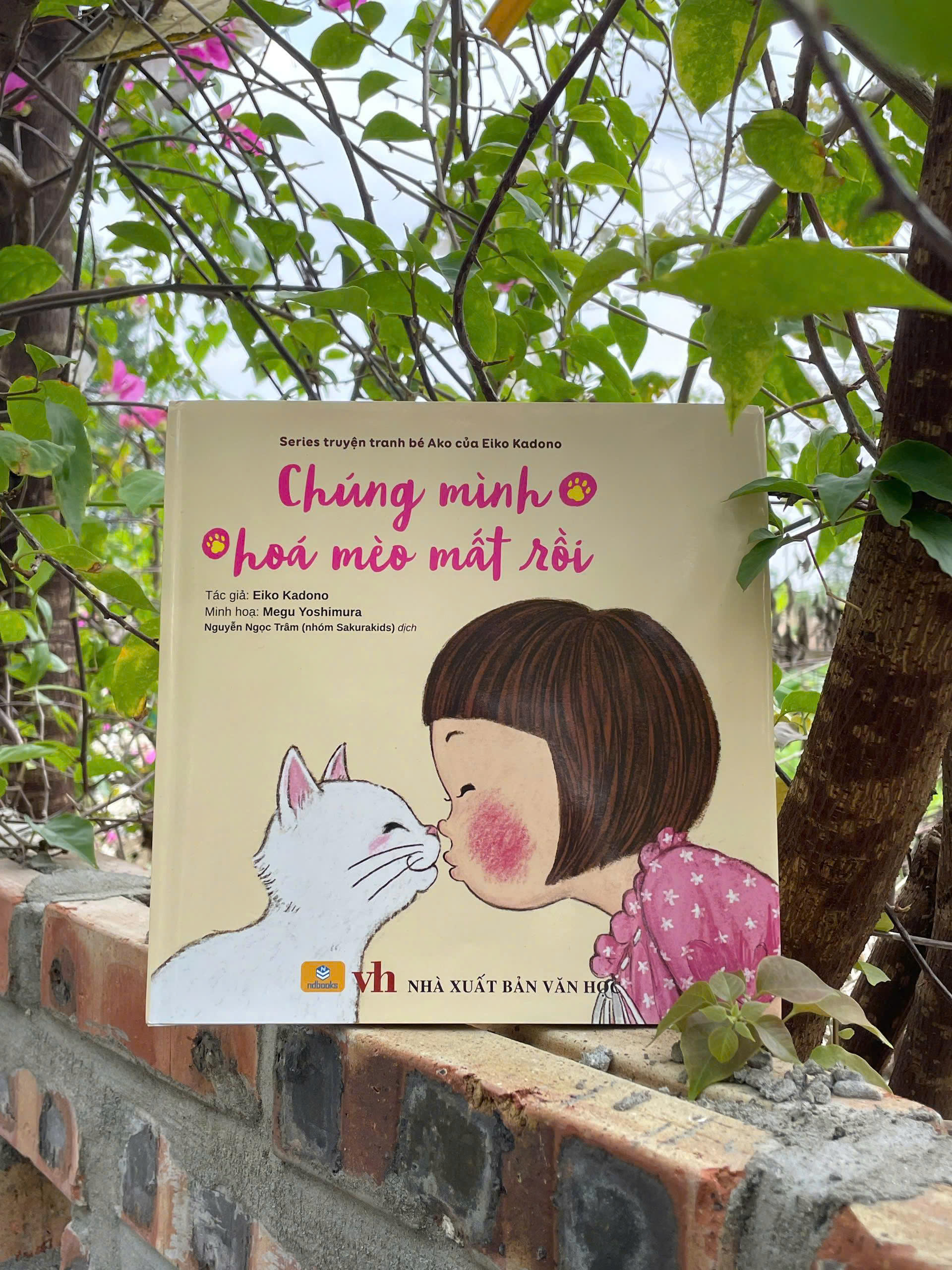 Sách - Chúng Mình Hóa Mèo Mất Rồi - ndbooks