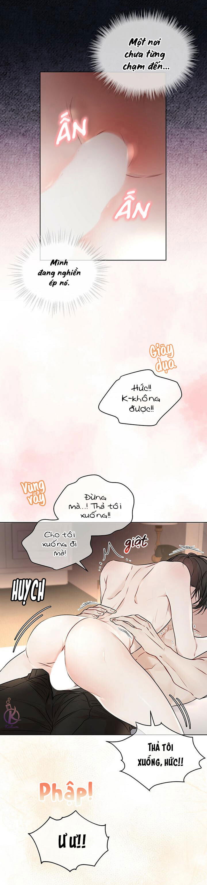 hình thái khởi sinh chapter 28 12