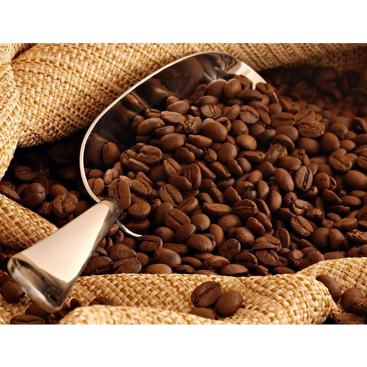 Cà Phê Rang Xay Nguyên Chất Signature E-SKY Coffee (Cafe Robusta - Arabica - Culi) Pha Phin Pha Máy Cold Brew 1kg-2kg