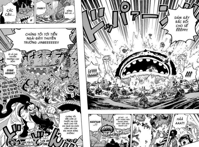 đảo hải tặc - one piece chapter 899 16