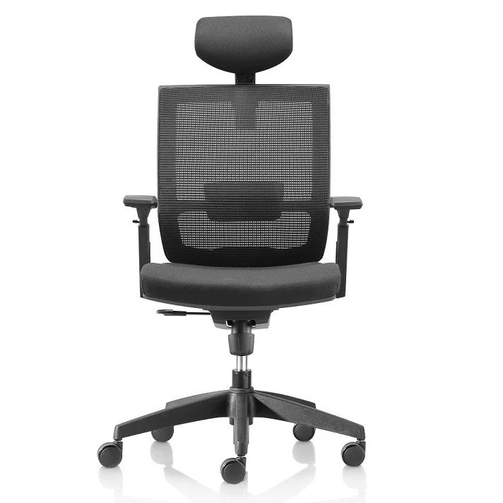 Ghế Ergonomic Office Chair Velar X04H-NL (Black)