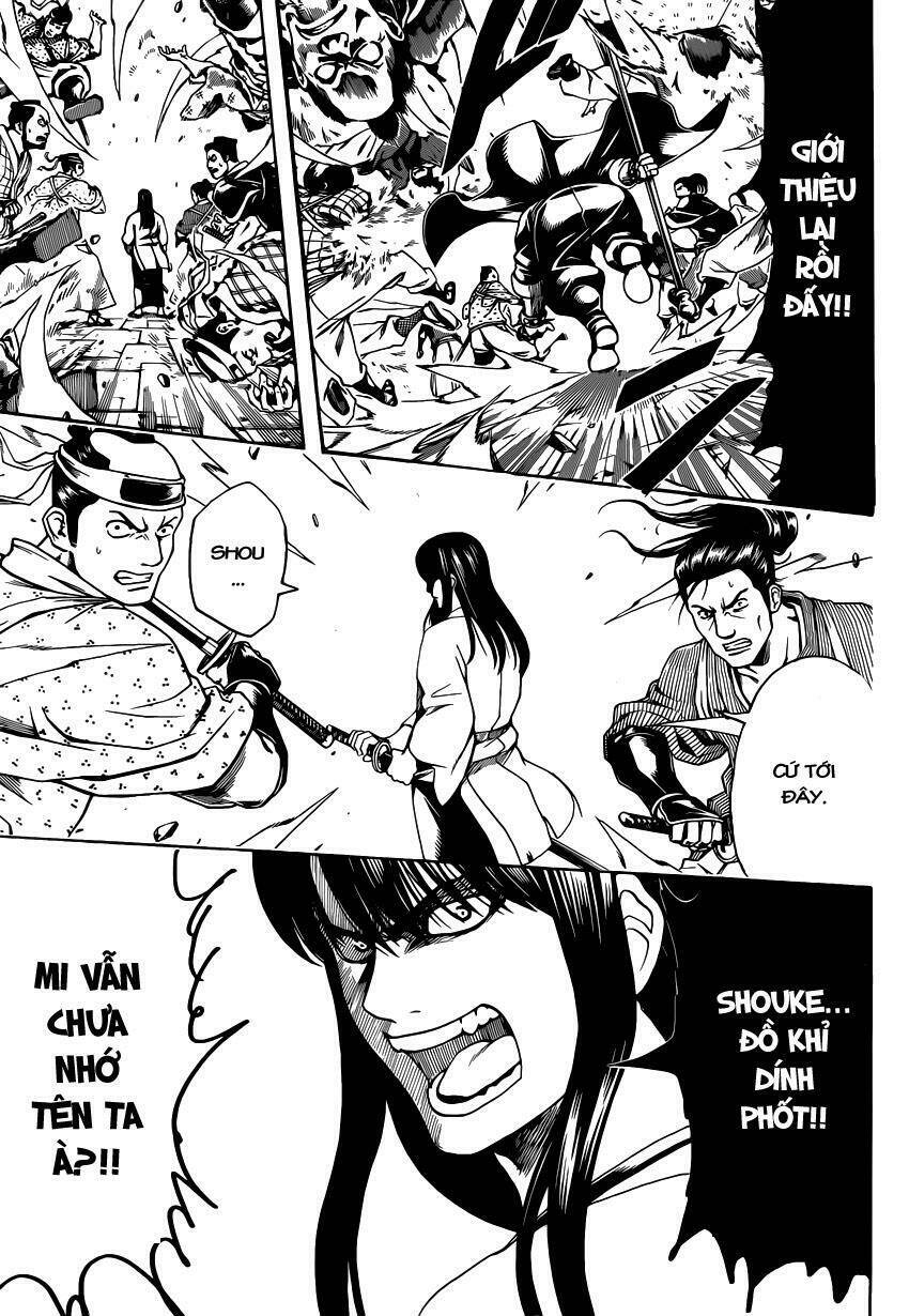gintama - linh hồn bạc chapter 562 5