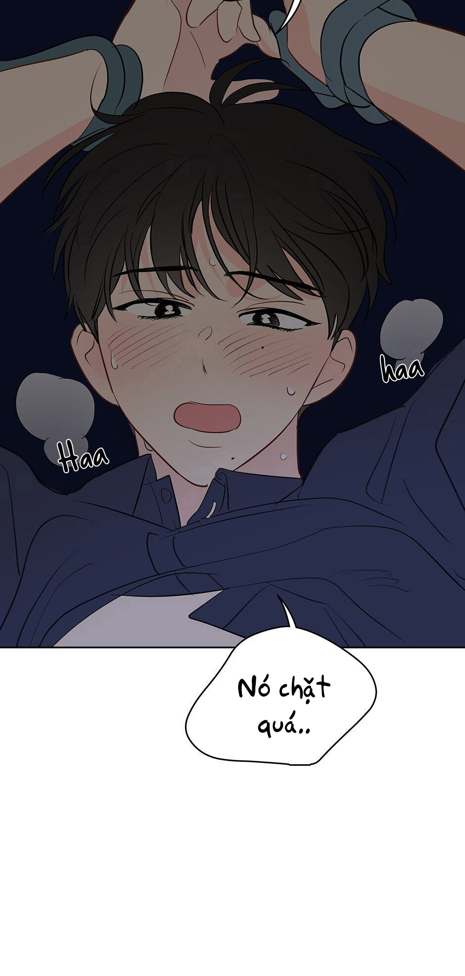 chỉ là giấc mơ thôi phải không? chapter 24 50