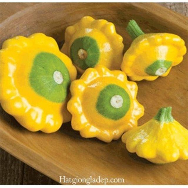 Hạt Giống Bí Đĩa Bay - 10 Hạt