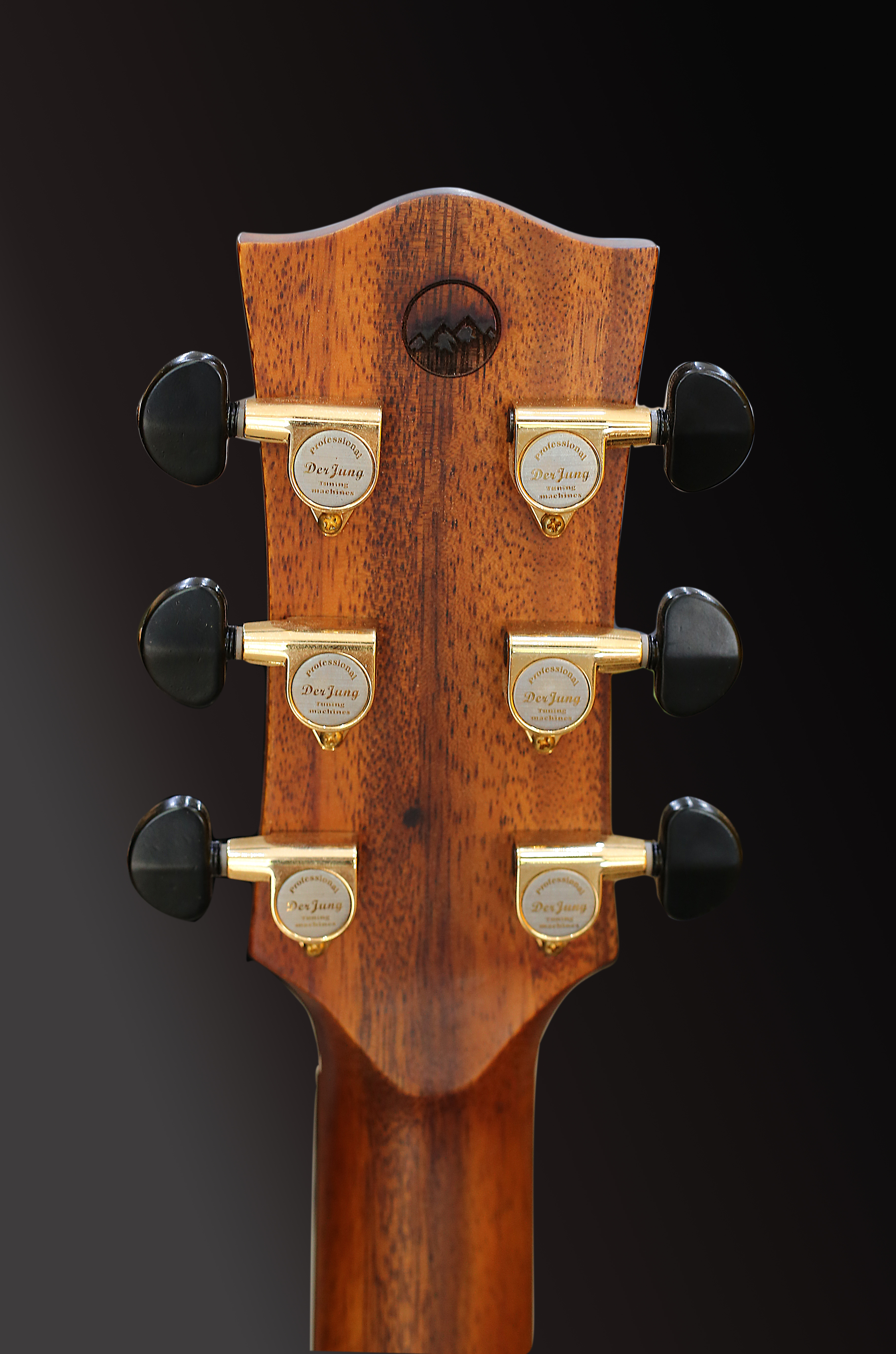 Đàn Guitar Acoustic E60LMT - Gỗ Nguyên Tấm