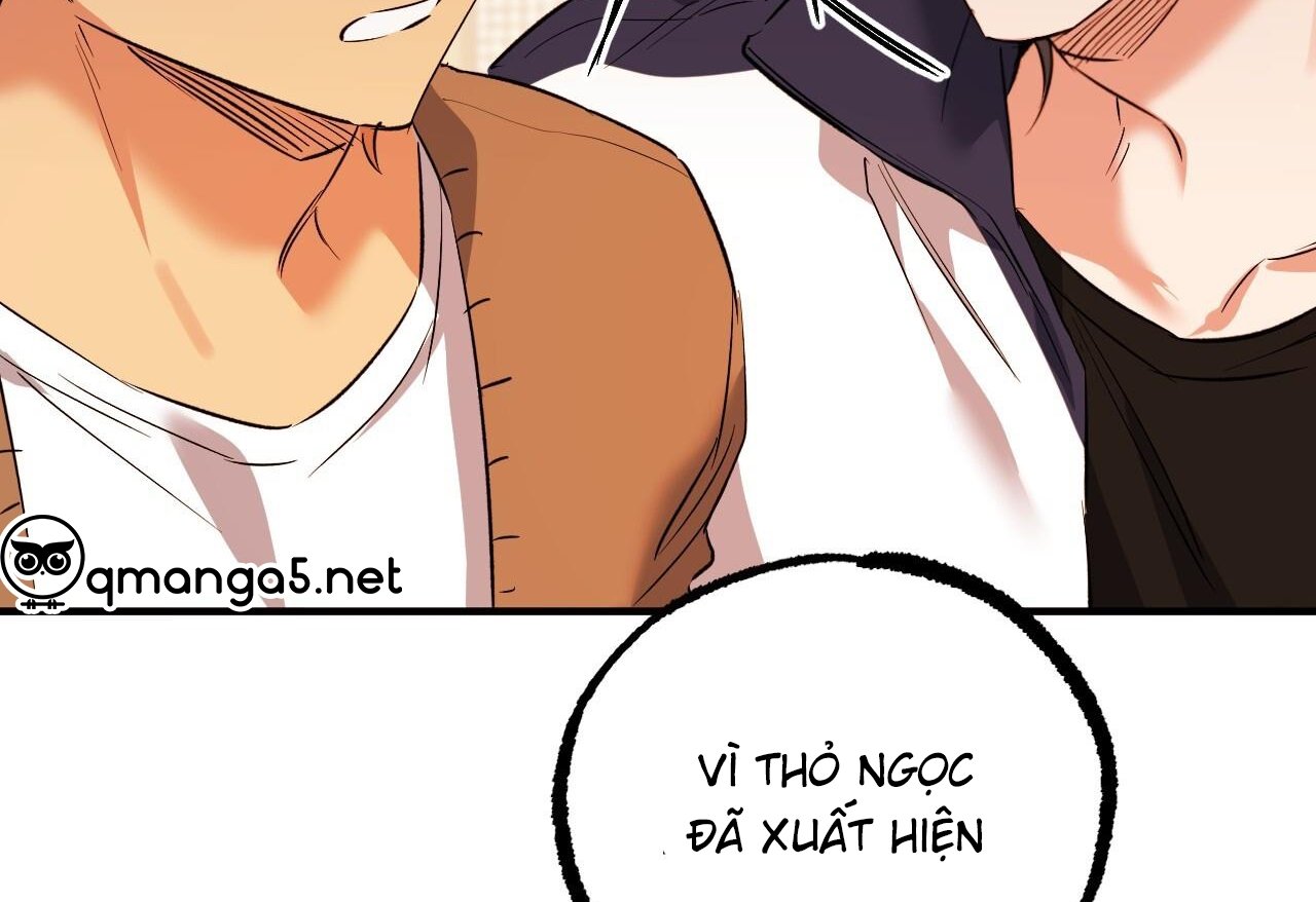 những chú thỏ của hapypy chapter 62 143