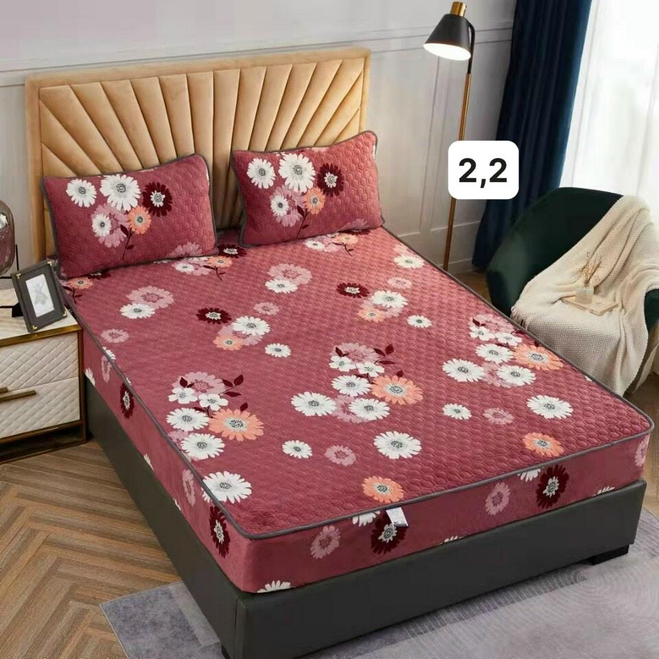 Ga Gối Nỉ Trần Bông 2D Hình NGỘ Nghĩnh