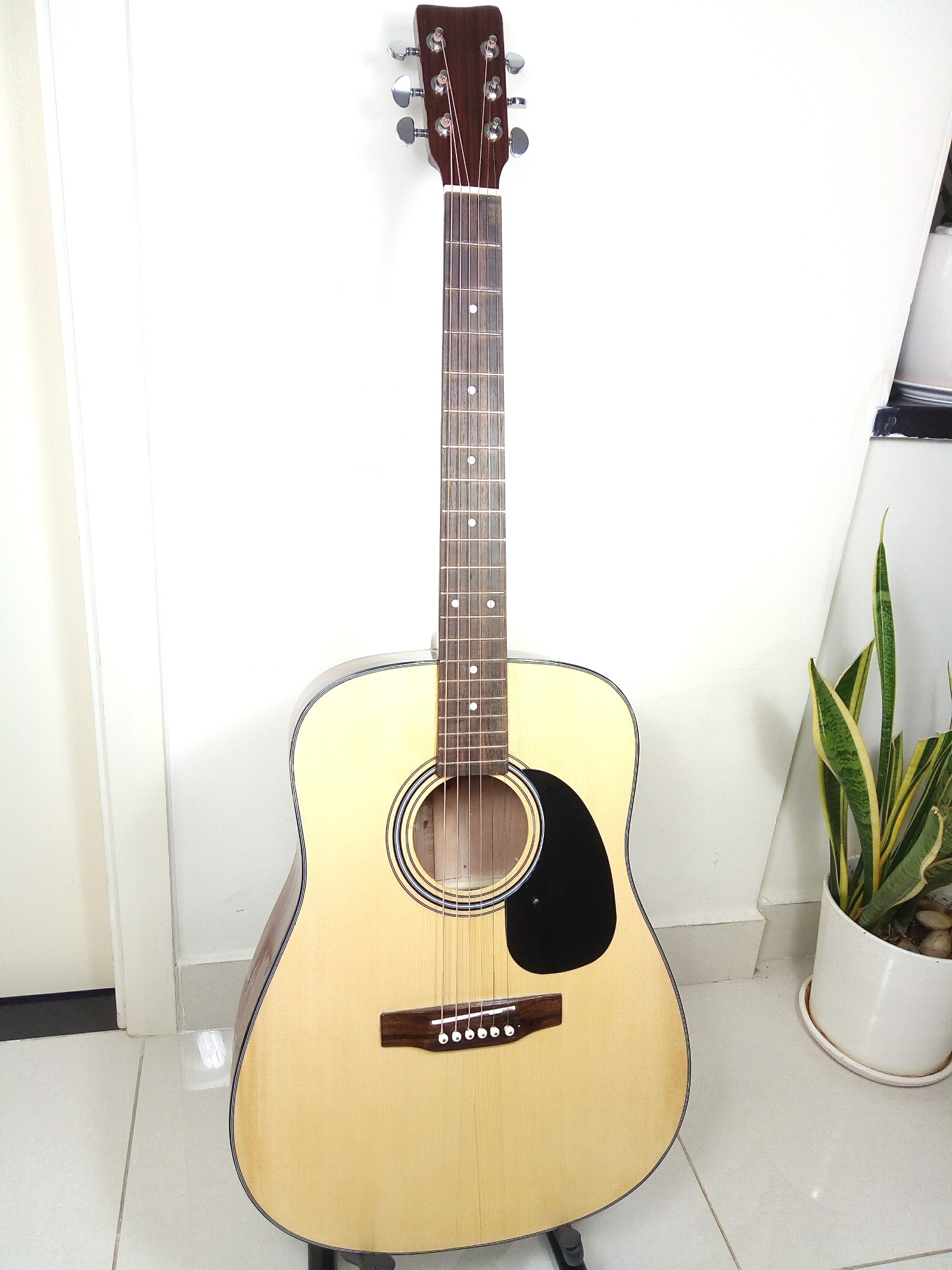 Đàn Guitar Acoustic Natural DD120