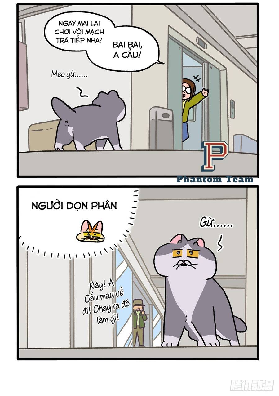 a mãn và mạch trà chapter 154.1 2