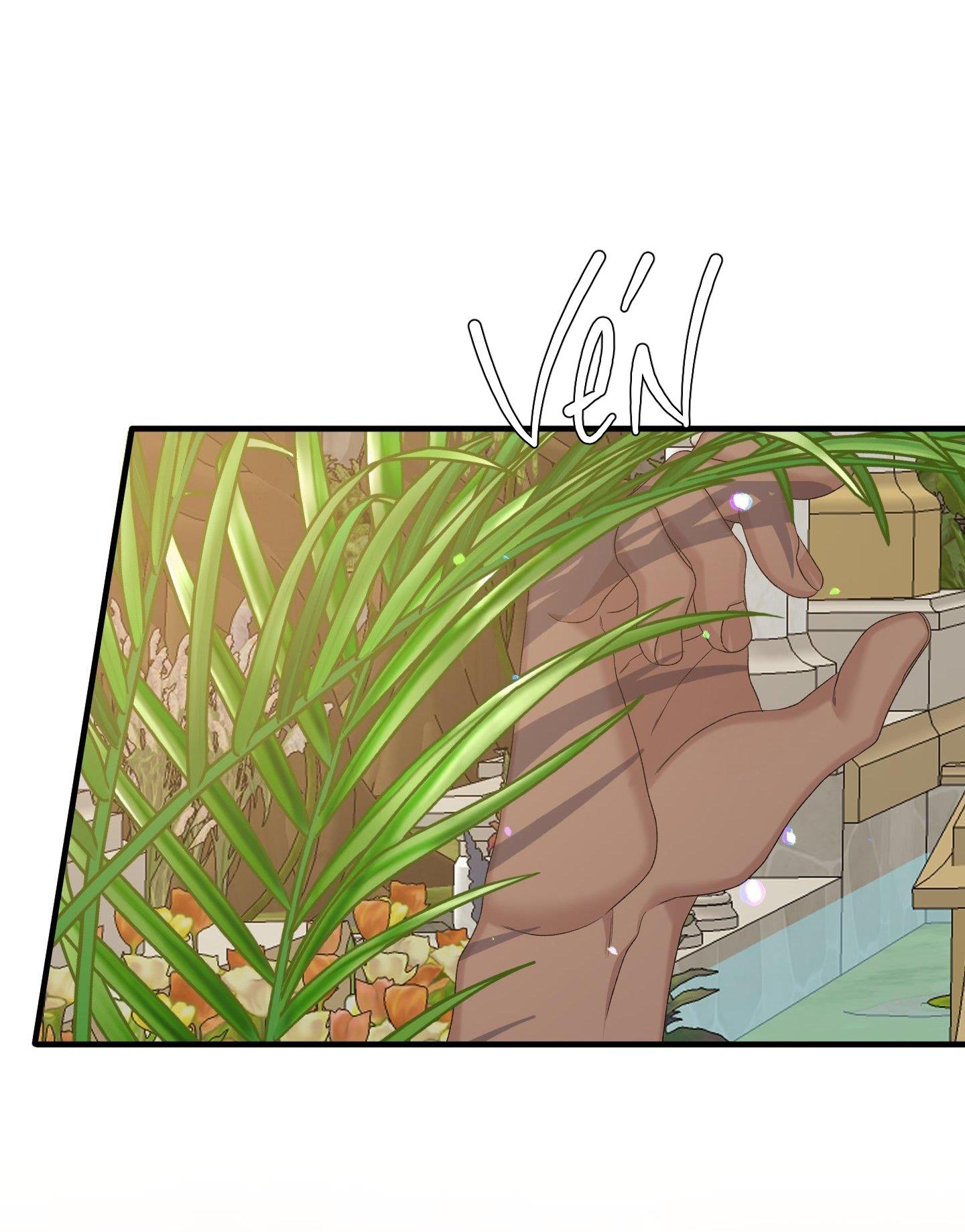 smyrna và capri chapter 53 32