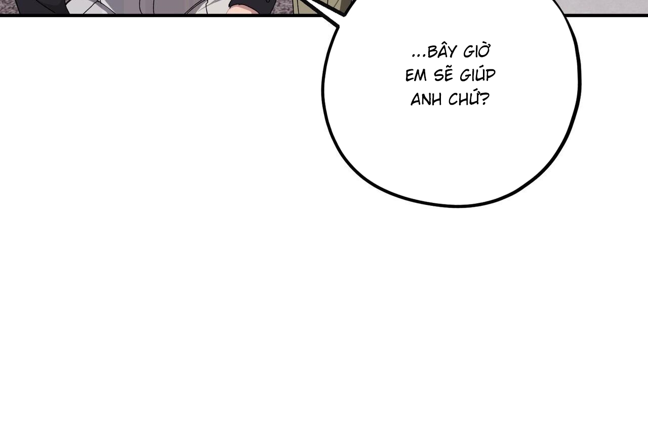 chàng dâu nhà họ kang chapter 34 139